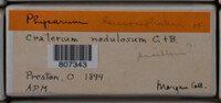 Image Associated With the Occurence